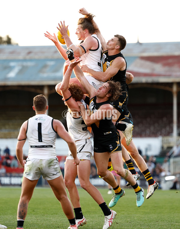 VFL 2024 Grand Final - Werribee v Southport Sharks - A-54255855