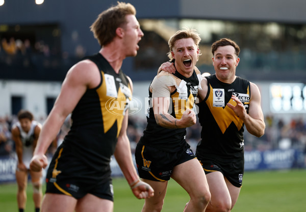 VFL 2024 Grand Final - Werribee v Southport Sharks - A-54255858