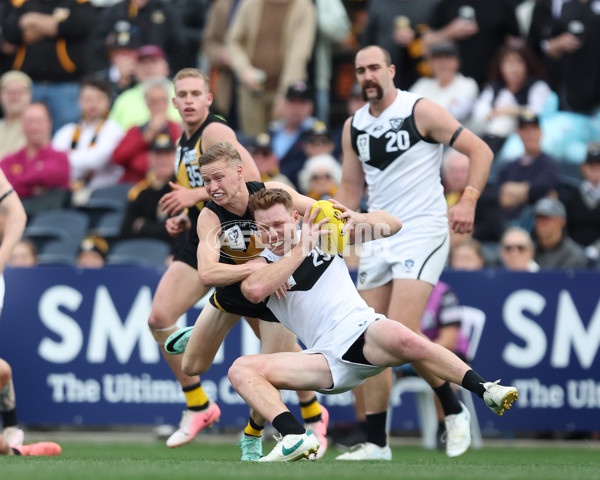 VFL 2024 Grand Final - Werribee v Southport Sharks - A-54257896