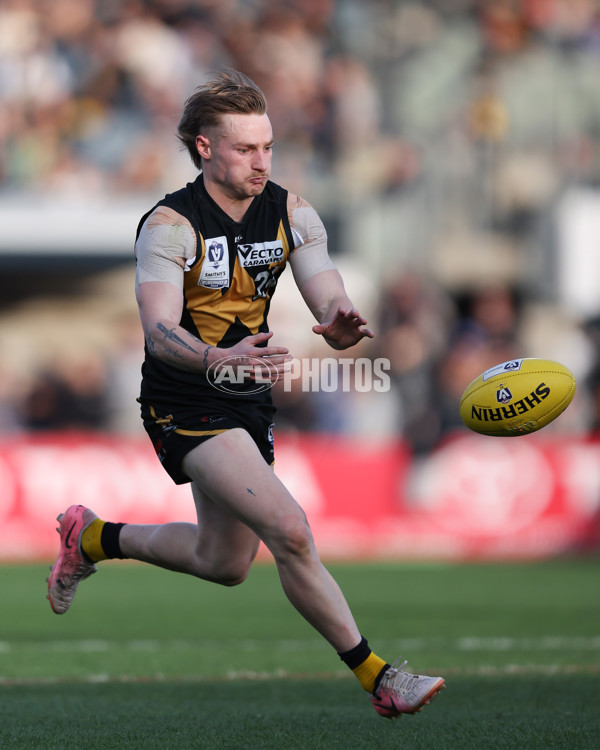 VFL 2024 Grand Final - Werribee v Southport Sharks - A-54257898