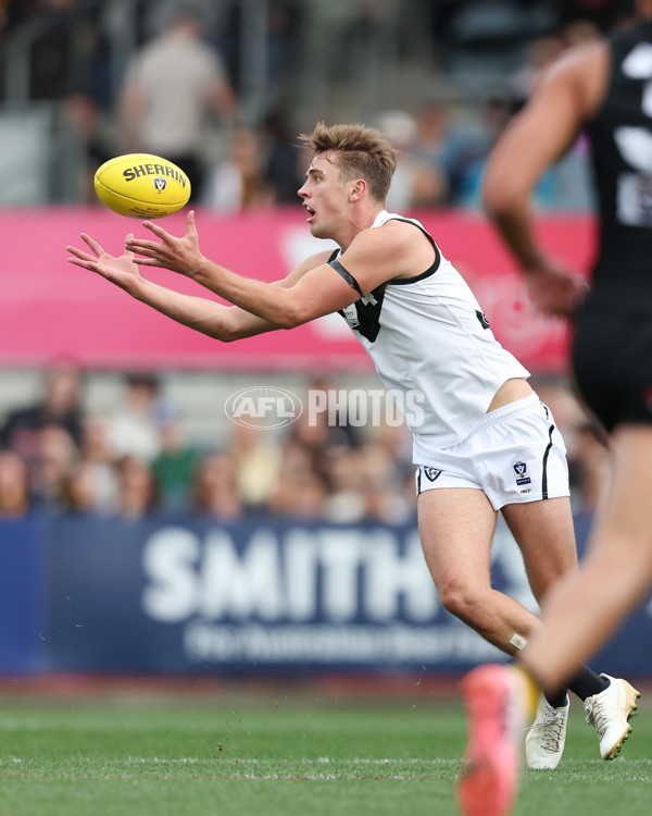 VFL 2024 Grand Final - Werribee v Southport Sharks - A-54257899