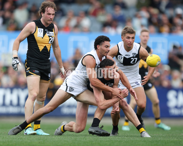 VFL 2024 Grand Final - Werribee v Southport Sharks - A-54258266