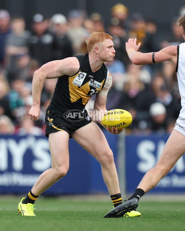 VFL 2024 Grand Final - Werribee v Southport Sharks - A-54258267