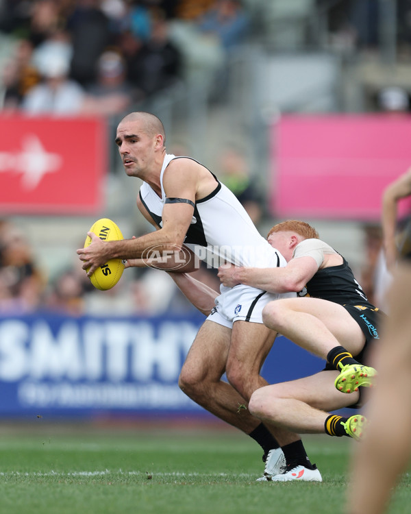 VFL 2024 Grand Final - Werribee v Southport Sharks - A-54258270