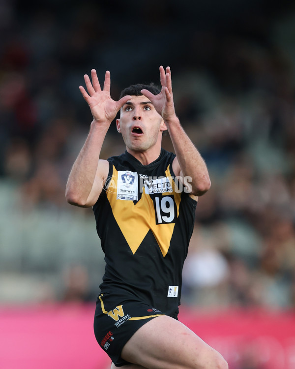 VFL 2024 Grand Final - Werribee v Southport Sharks - A-54258271