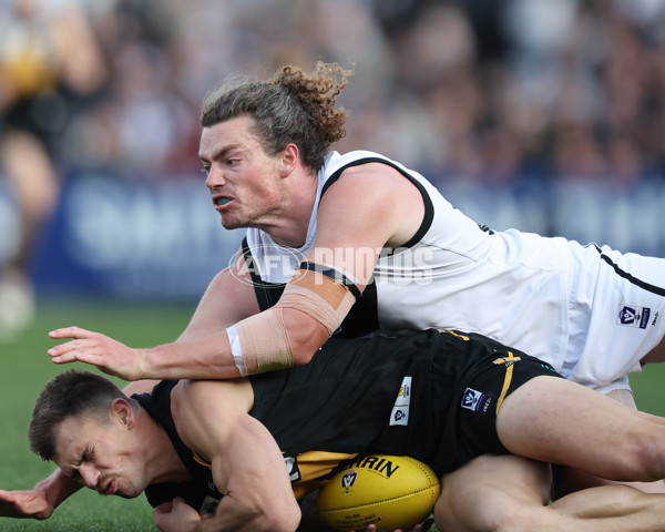 VFL 2024 Grand Final - Werribee v Southport Sharks - A-54258273