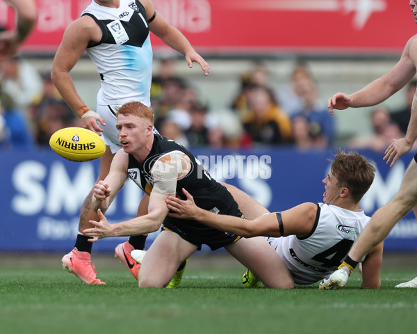 VFL 2024 Grand Final - Werribee v Southport Sharks - A-54258274