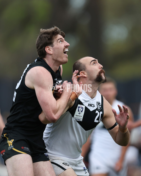 VFL 2024 Grand Final - Werribee v Southport Sharks - A-54258277