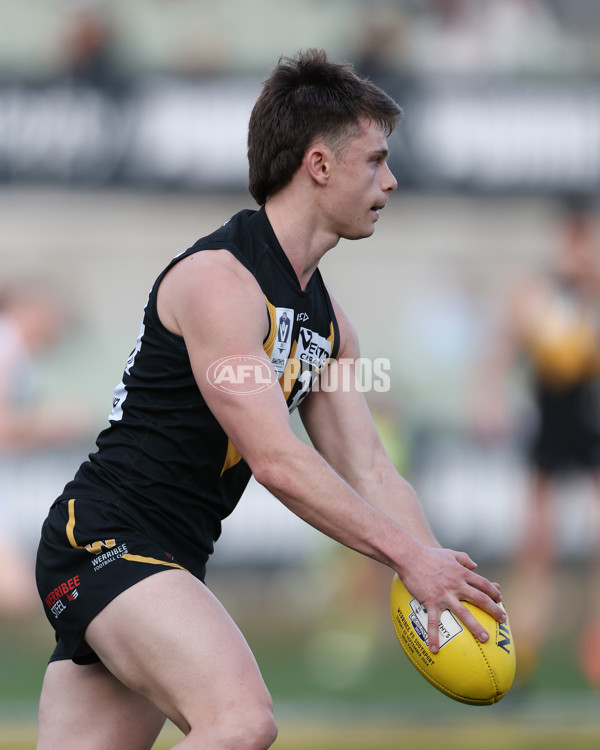 VFL 2024 Grand Final - Werribee v Southport Sharks - A-54258278