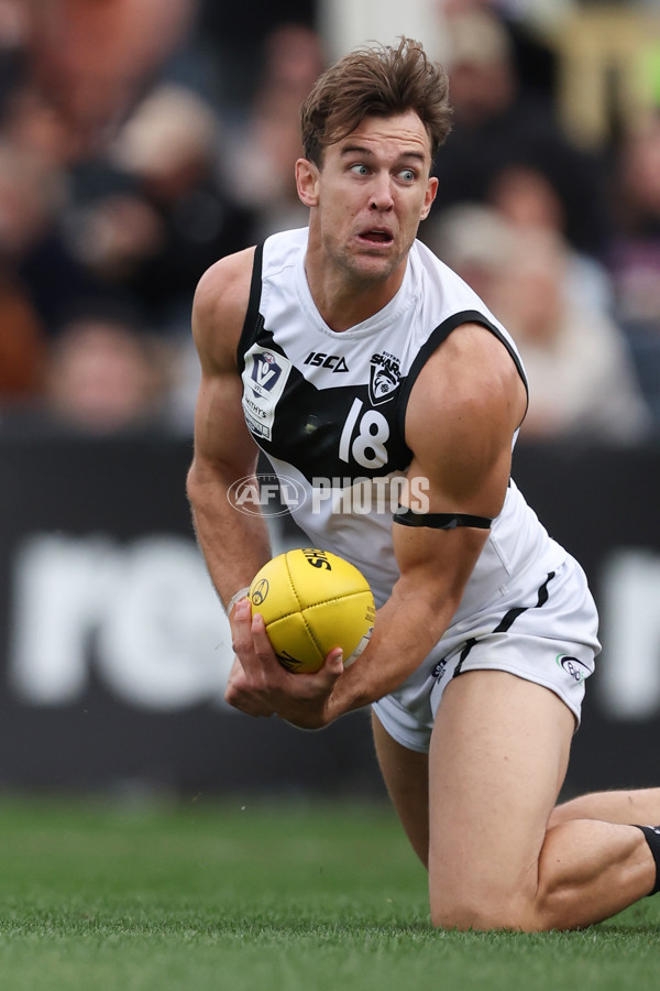 VFL 2024 Grand Final - Werribee v Southport Sharks - A-54258279