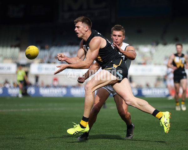 VFL 2024 Grand Final - Werribee v Southport Sharks - A-54260469