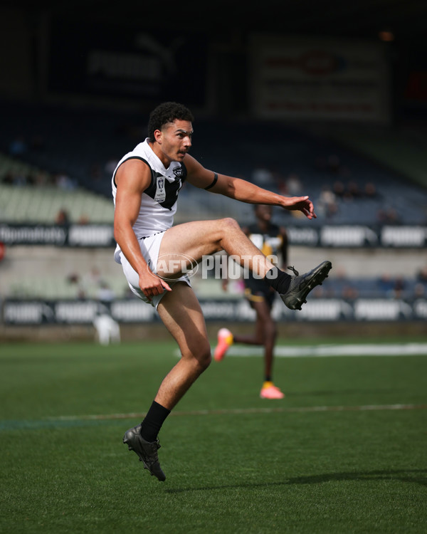 VFL 2024 Grand Final - Werribee v Southport Sharks - A-54260473