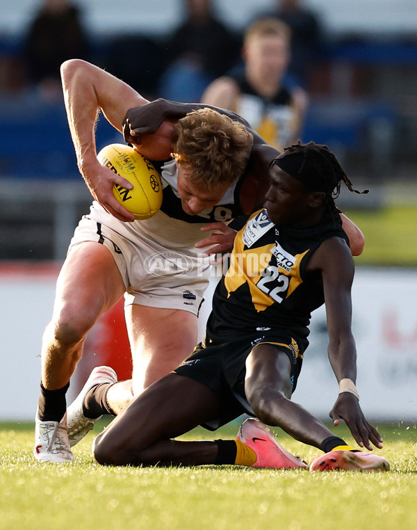 VFL 2024 Grand Final - Werribee v Southport Sharks - A-54260483