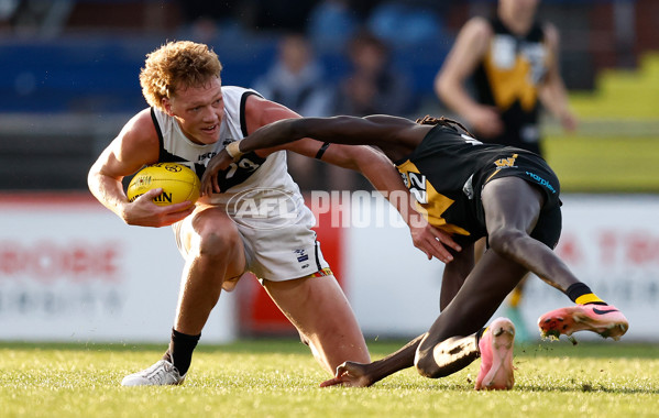 VFL 2024 Grand Final - Werribee v Southport Sharks - A-54260485