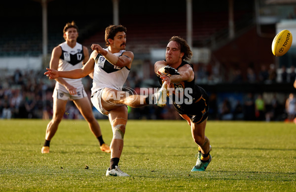 VFL 2024 Grand Final - Werribee v Southport Sharks - A-54260486