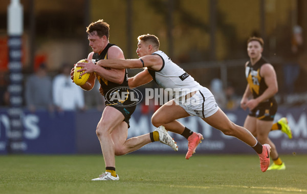 VFL 2024 Grand Final - Werribee v Southport Sharks - A-54260487