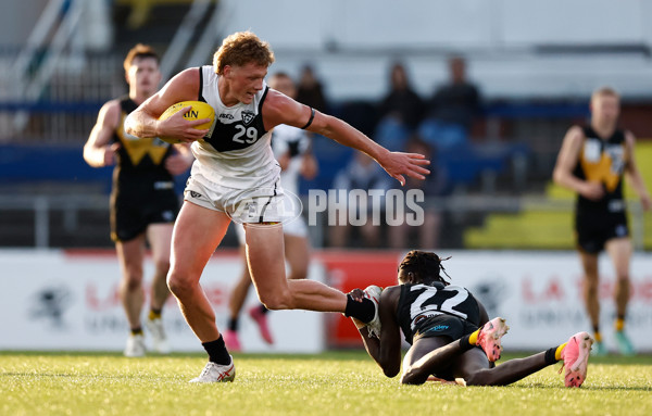 VFL 2024 Grand Final - Werribee v Southport Sharks - A-54260488