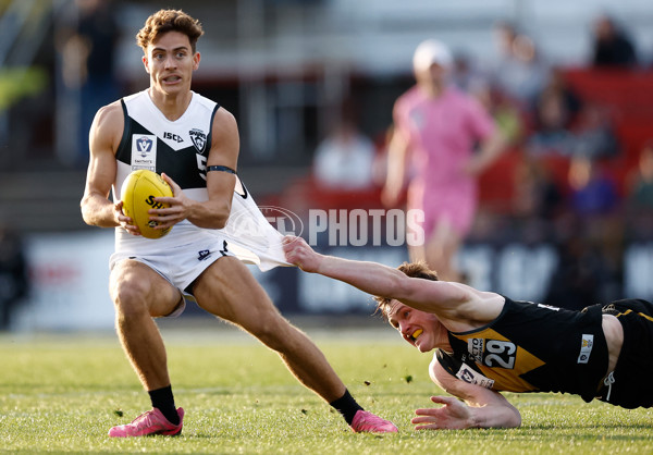 VFL 2024 Grand Final - Werribee v Southport Sharks - A-54260500