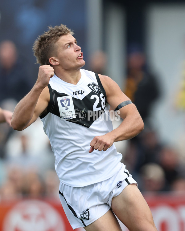 VFL 2024 Grand Final - Werribee v Southport Sharks - A-54260513