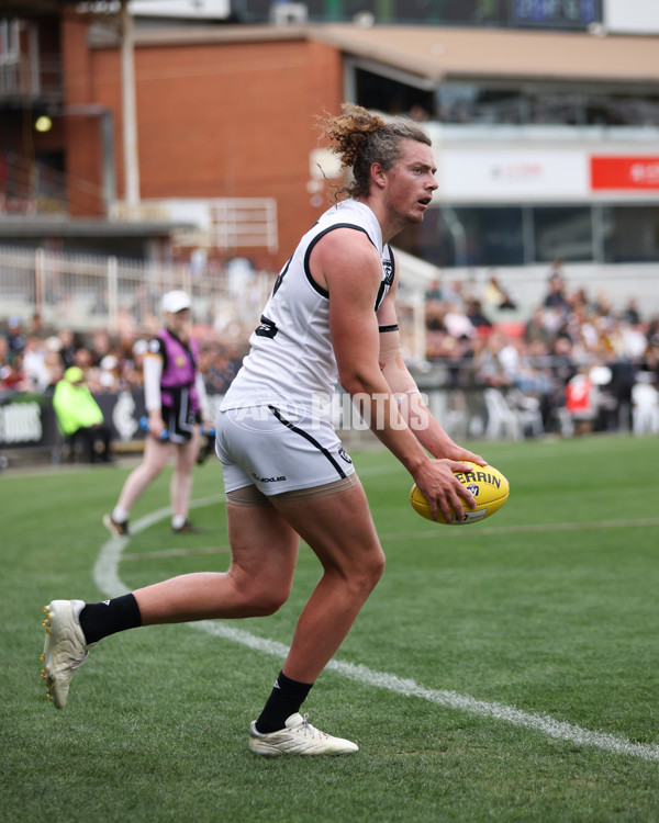 VFL 2024 Grand Final - Werribee v Southport Sharks - A-54260516