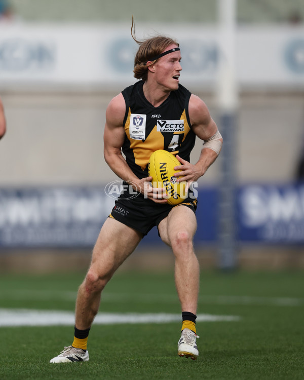 VFL 2024 Grand Final - Werribee v Southport Sharks - A-54260519