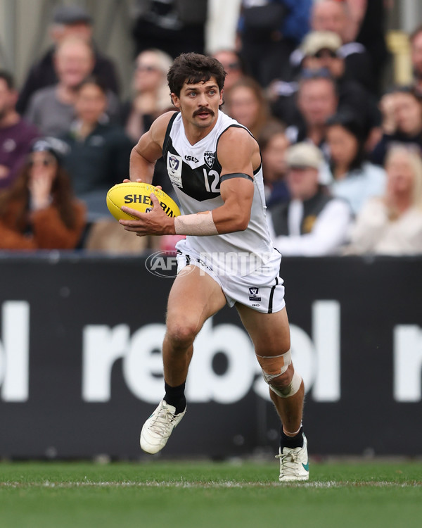 VFL 2024 Grand Final - Werribee v Southport Sharks - A-54260521