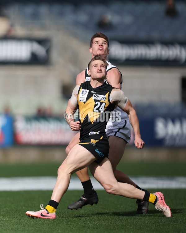 VFL 2024 Grand Final - Werribee v Southport Sharks - A-54261143