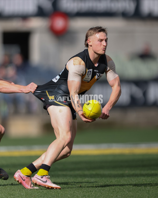 VFL 2024 Grand Final - Werribee v Southport Sharks - A-54261144