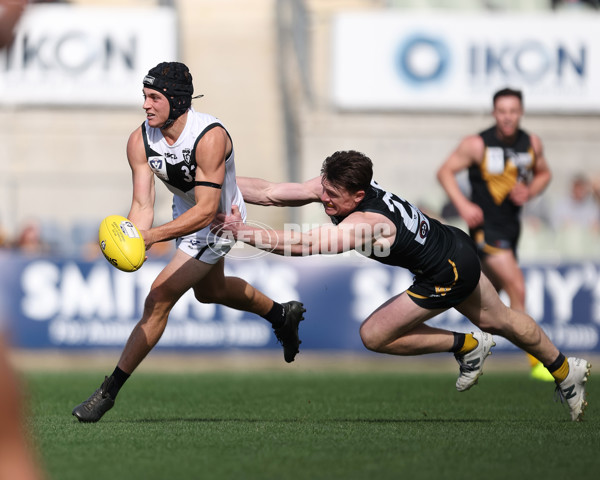 VFL 2024 Grand Final - Werribee v Southport Sharks - A-54261145