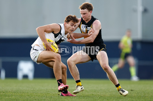 VFL 2024 Grand Final - Werribee v Southport Sharks - A-54261159