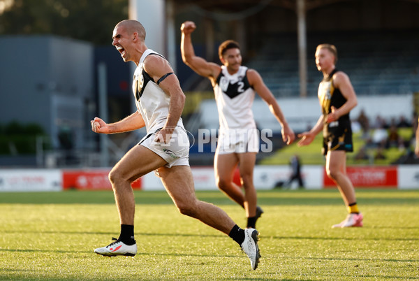 VFL 2024 Grand Final - Werribee v Southport Sharks - A-54261160