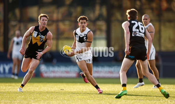 VFL 2024 Grand Final - Werribee v Southport Sharks - A-54261162