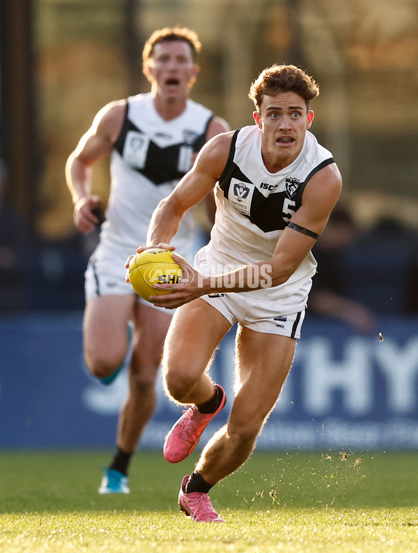 VFL 2024 Grand Final - Werribee v Southport Sharks - A-54261163