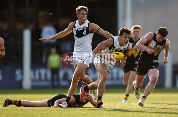 VFL 2024 Grand Final - Werribee v Southport Sharks - A-54261177