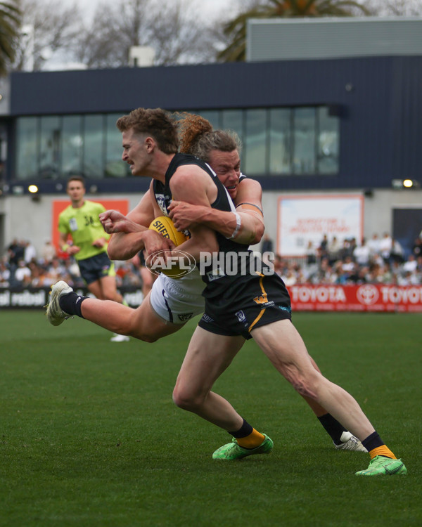 VFL 2024 Grand Final - Werribee v Southport Sharks - A-54261183