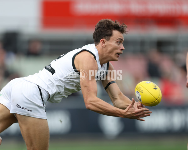 VFL 2024 Grand Final - Werribee v Southport Sharks - A-54261185