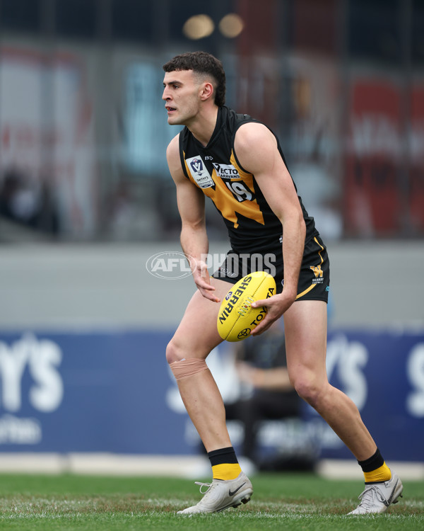 VFL 2024 Grand Final - Werribee v Southport Sharks - A-54261187