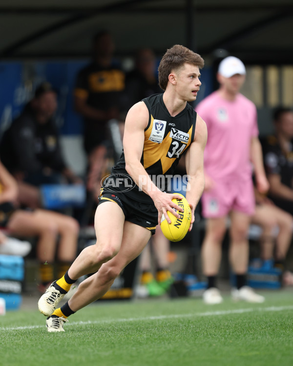 VFL 2024 Grand Final - Werribee v Southport Sharks - A-54261189