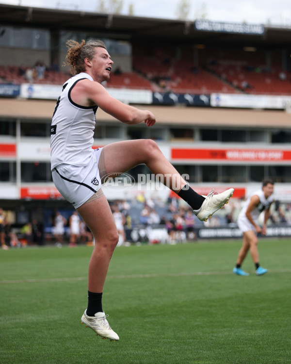 VFL 2024 Grand Final - Werribee v Southport Sharks - A-54261191