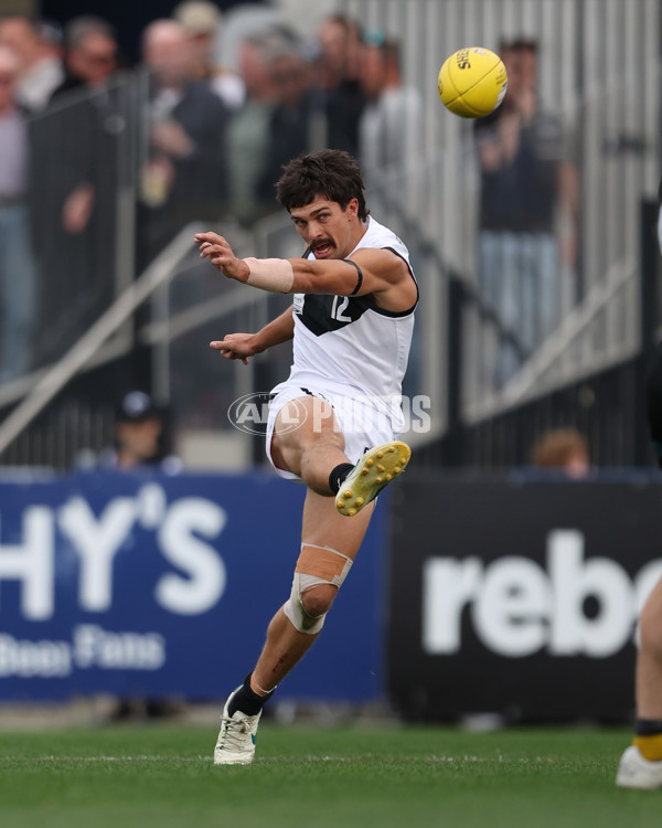 VFL 2024 Grand Final - Werribee v Southport Sharks - A-54261192