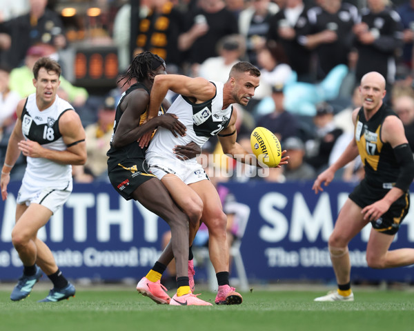 VFL 2024 Grand Final - Werribee v Southport Sharks - A-54261223