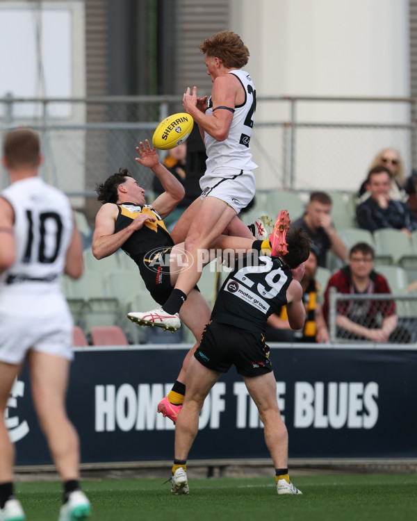 VFL 2024 Grand Final - Werribee v Southport Sharks - A-54261226