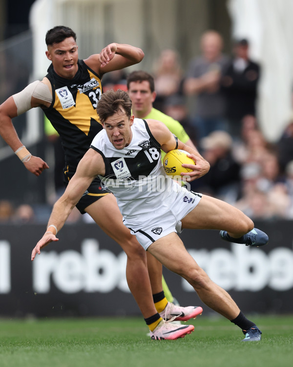 VFL 2024 Grand Final - Werribee v Southport Sharks - A-54261227