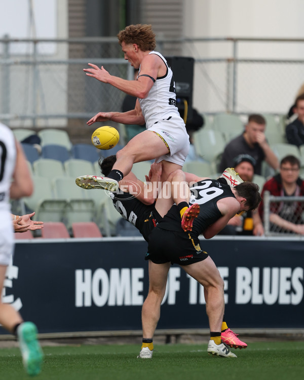 VFL 2024 Grand Final - Werribee v Southport Sharks - A-54261228