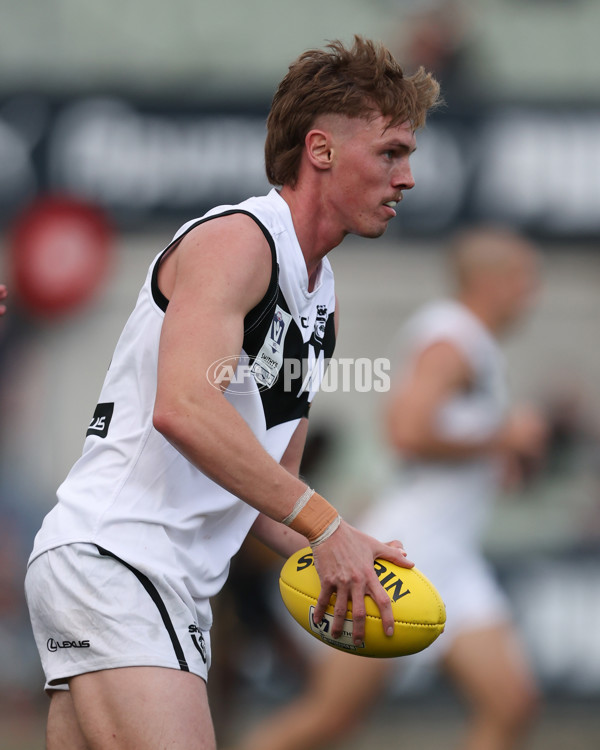 VFL 2024 Grand Final - Werribee v Southport Sharks - A-54262765