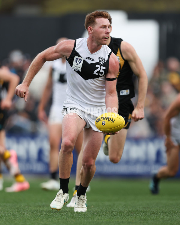 VFL 2024 Grand Final - Werribee v Southport Sharks - A-54262771