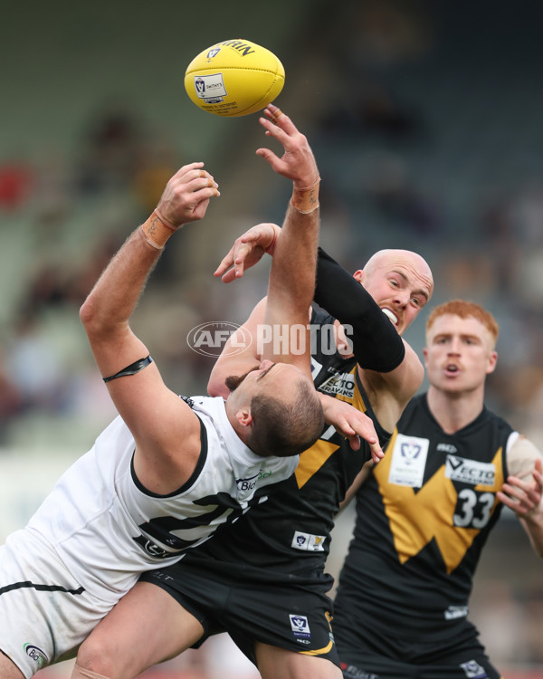 VFL 2024 Grand Final - Werribee v Southport Sharks - A-54262775