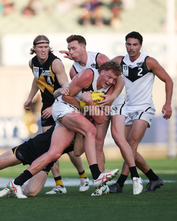 VFL 2024 Grand Final - Werribee v Southport Sharks - A-54262793