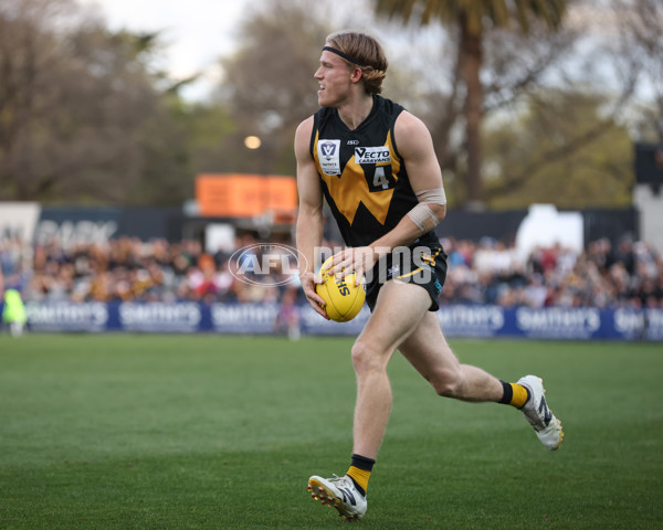 VFL 2024 Grand Final - Werribee v Southport Sharks - A-54262797