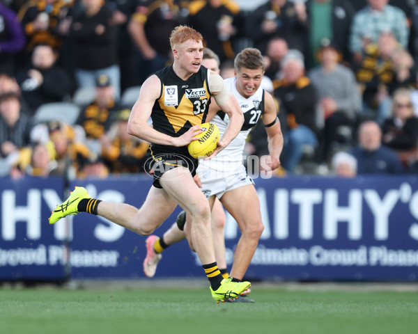 VFL 2024 Grand Final - Werribee v Southport Sharks - A-54262801